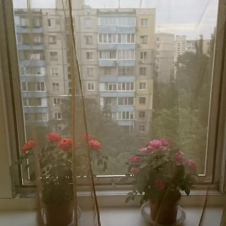 Comfortable On The River Bank Apartment